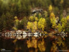 Tapeta National Geographic 490.jpg